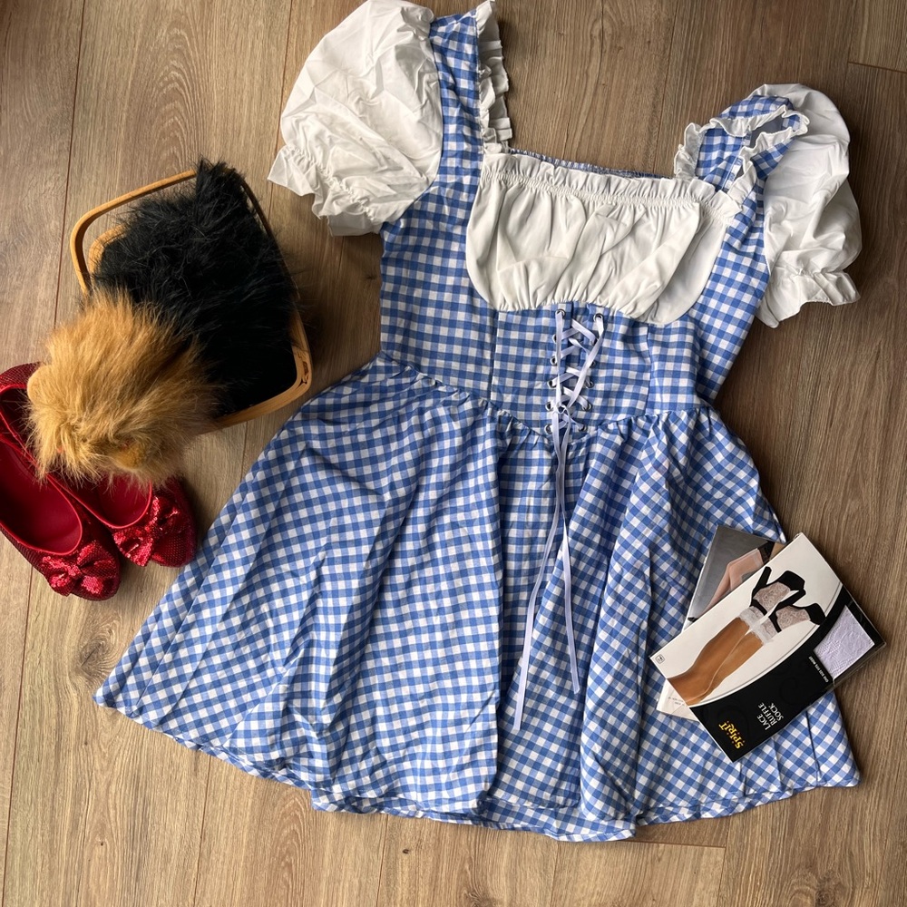 Dorthy Wizard of oz Costume set size Large, shoes size 7 pre owned cosplay
